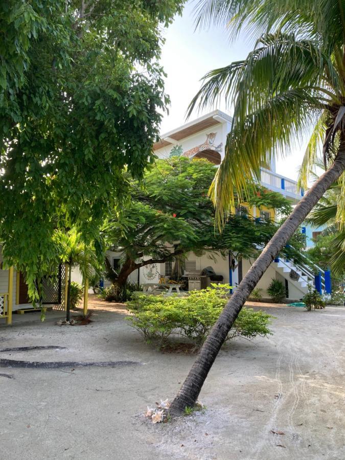 Hotel Jaguar Morning Star Caye Caulker Esterno foto